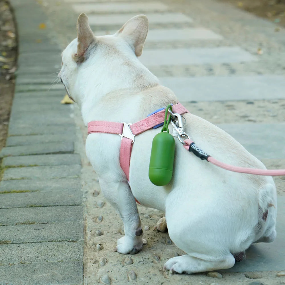 Biodegradable Dog and Cat Poop Bags with Dispenser