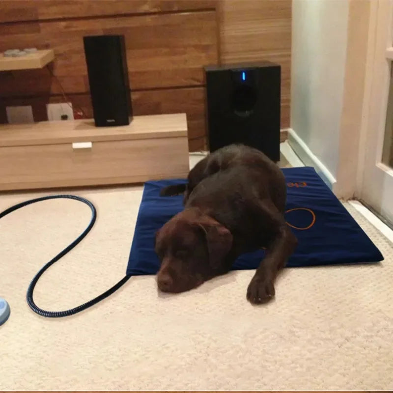 45×60cm Pet Electric Heating Pad Adjustable Temperature Mat