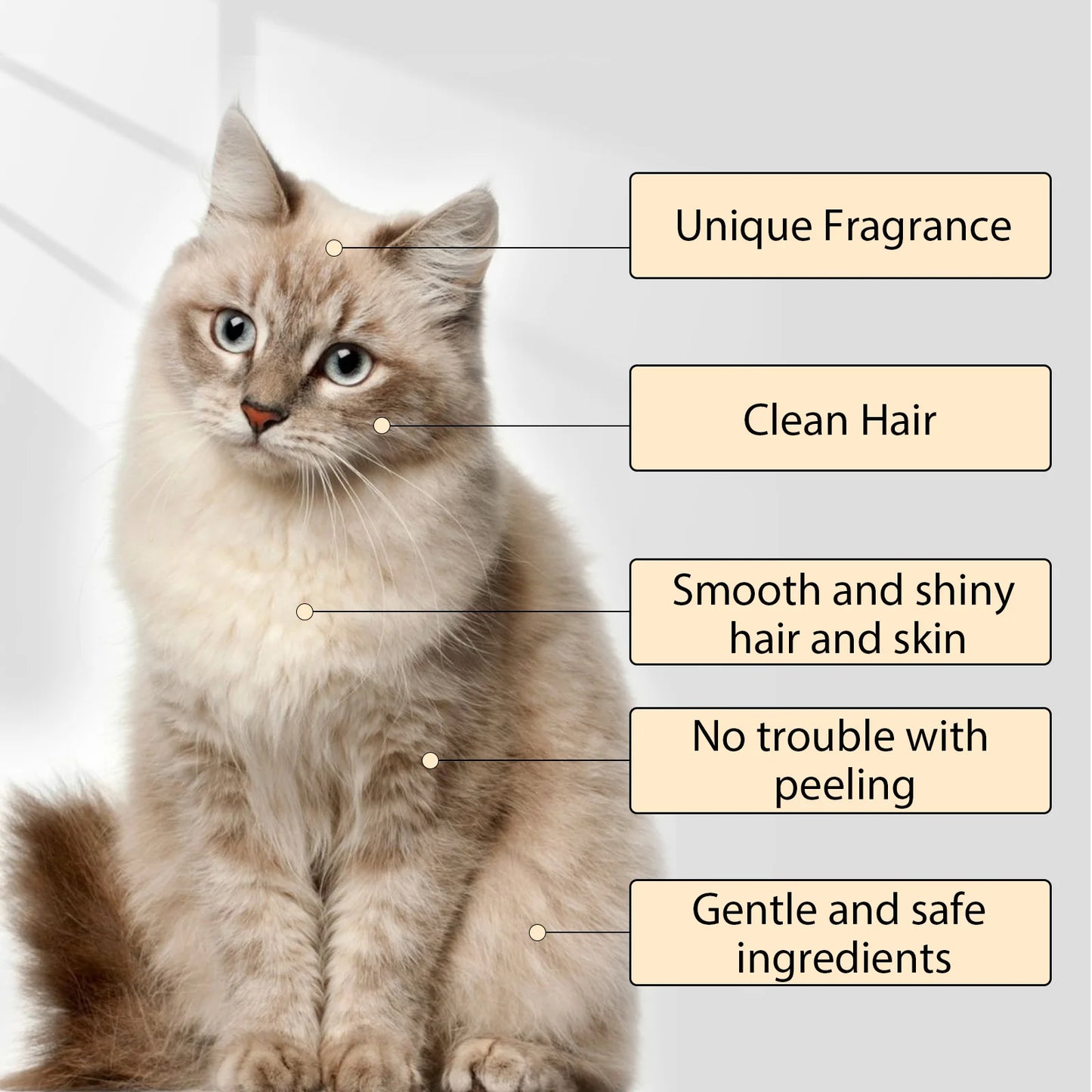 Anti Flea Dog Shampoo for Itching, Odor and Mite Removal