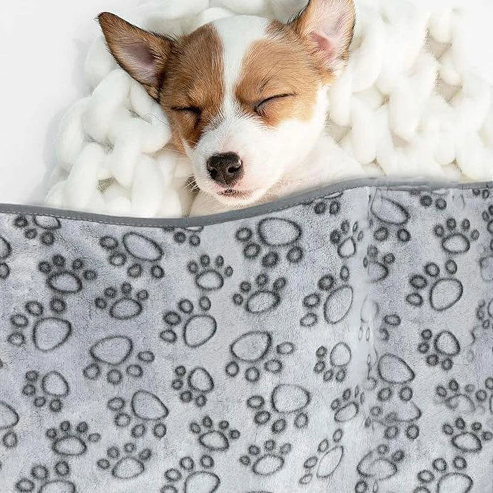 Winter Soft Dog Cat Blanket Washable Indoor Pet Mat