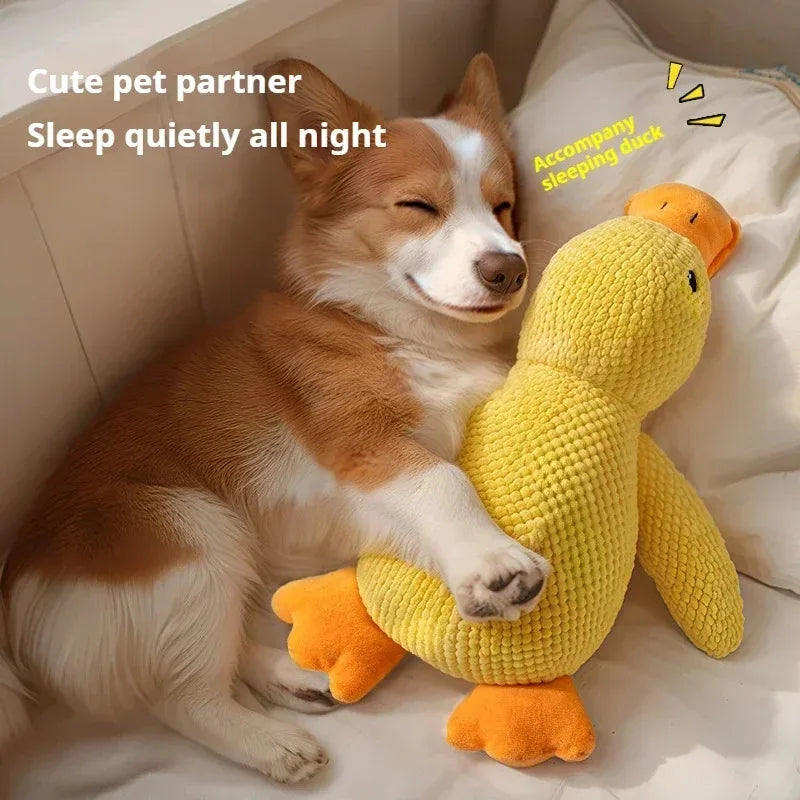 Plush Duck Dog Toy – Chew, Squeak, Calming