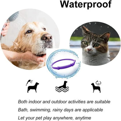 Calming Pet Collar for Cats and Dogs – Adjustable