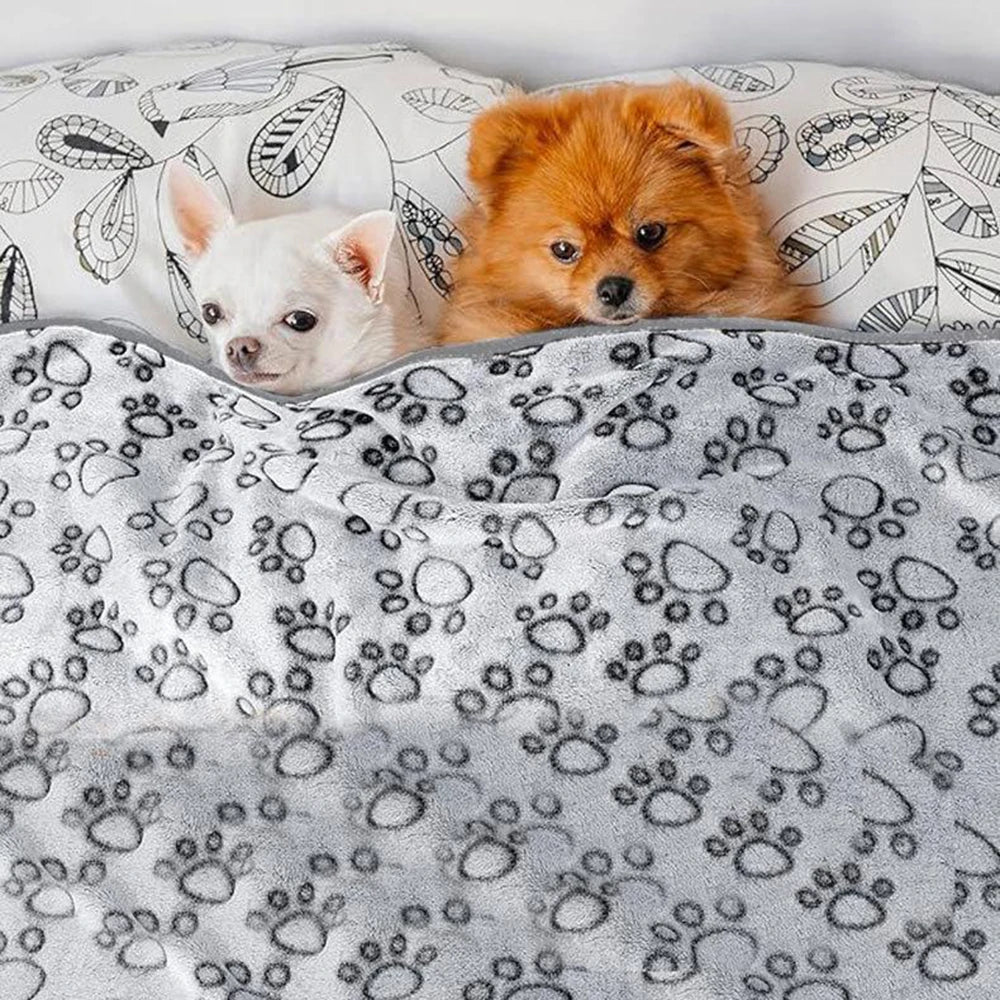 Winter Soft Dog Cat Blanket Washable Indoor Pet Mat