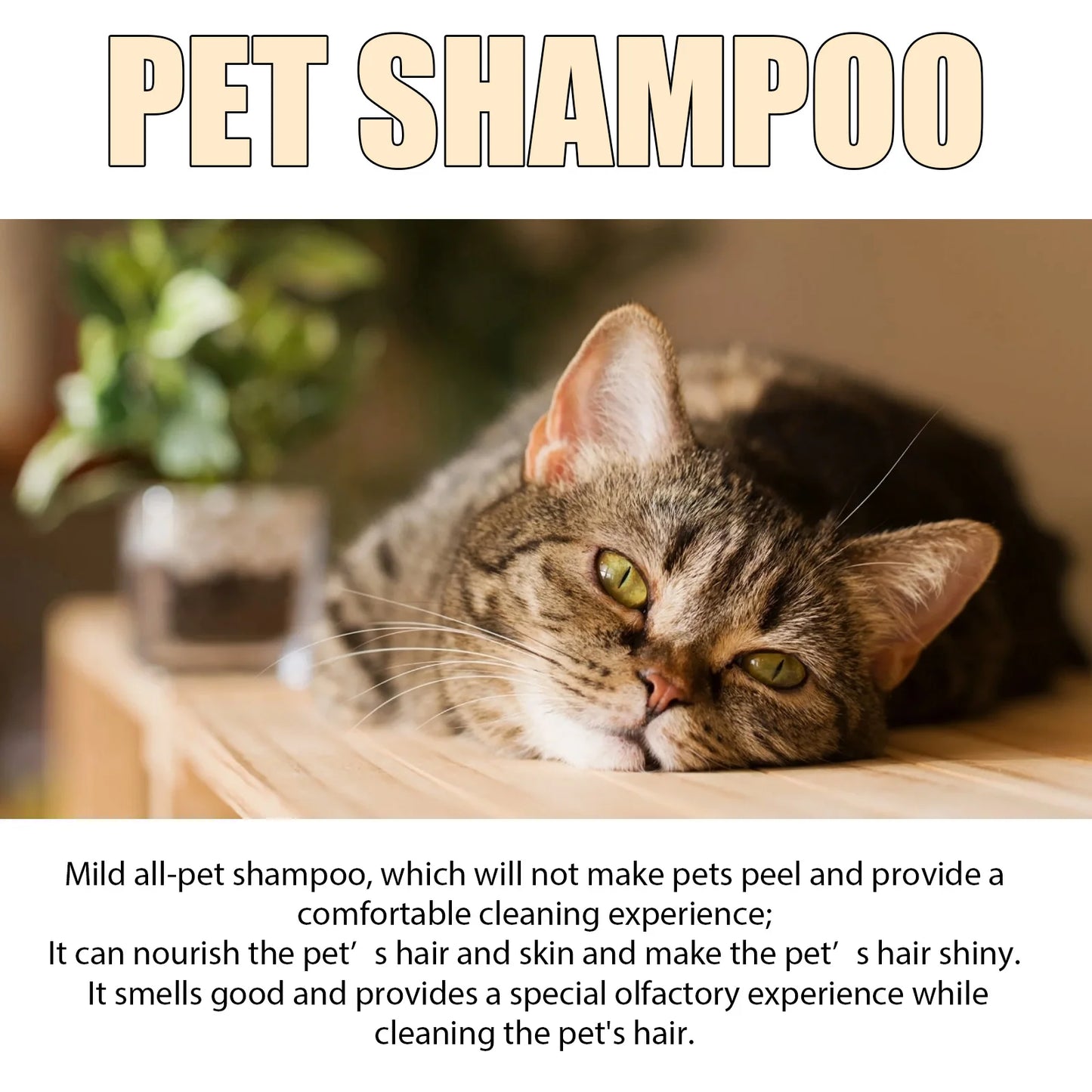 Anti Flea Dog Shampoo for Itching, Odor and Mite Removal