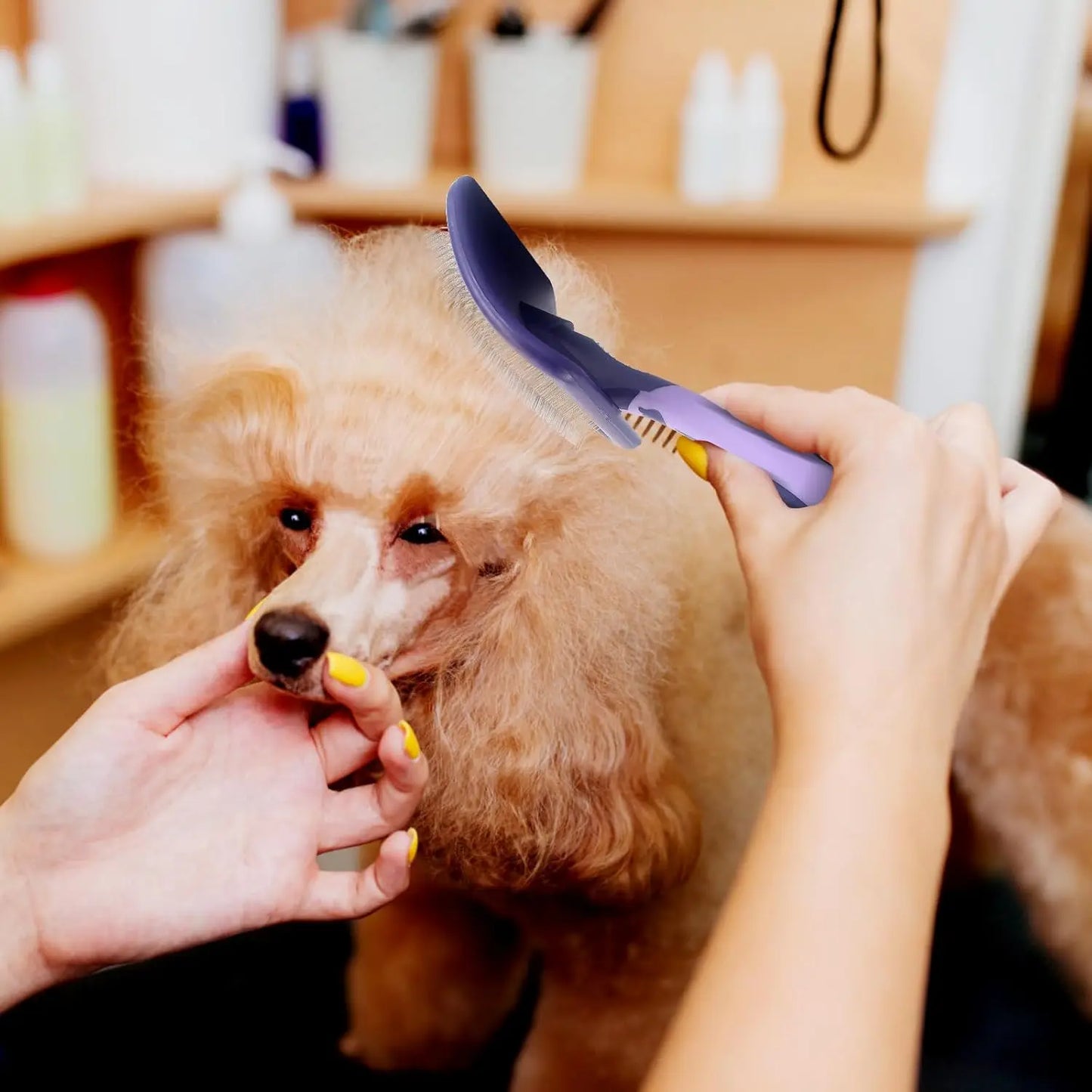 Dog Grooming Brush for Detangling Dematting and Shedding Control